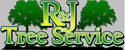 rnjtreeservice004002.jpg
