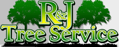 rnjtreeservice005009.jpg