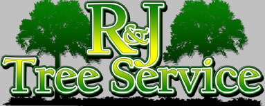 rnjtreeservice006002.jpg